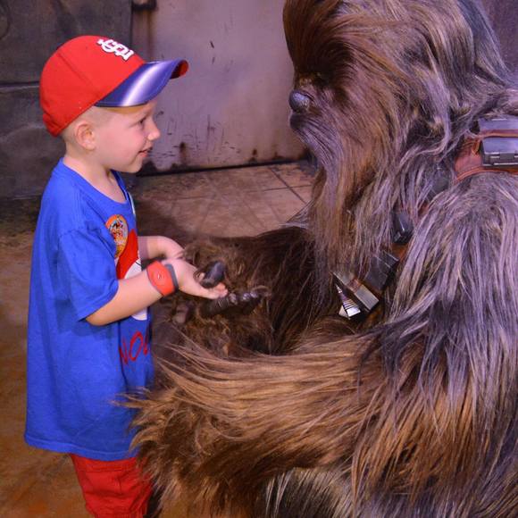 Meet your Posher, Michael - Picture 1 of 1